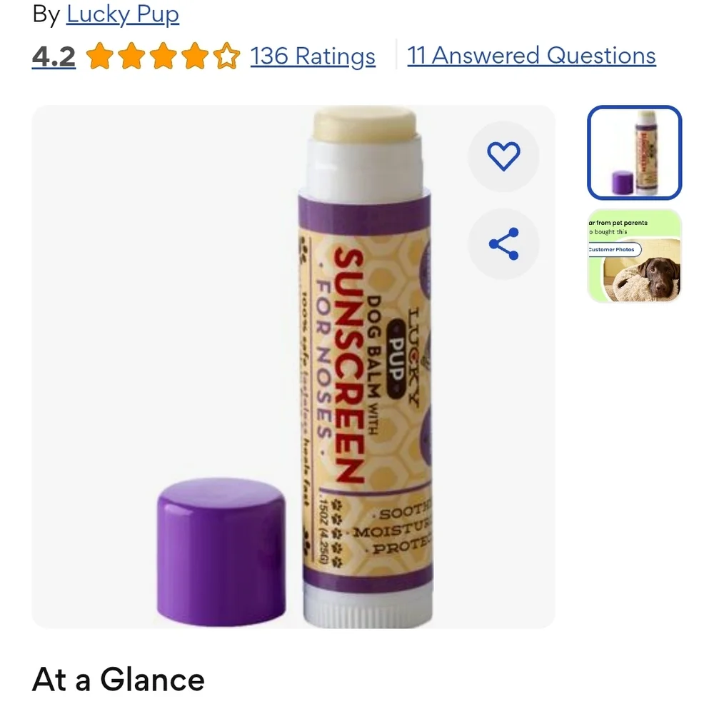 Dog Grooming Set - Cream and Purple